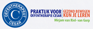 Oefentherapie Udenhout